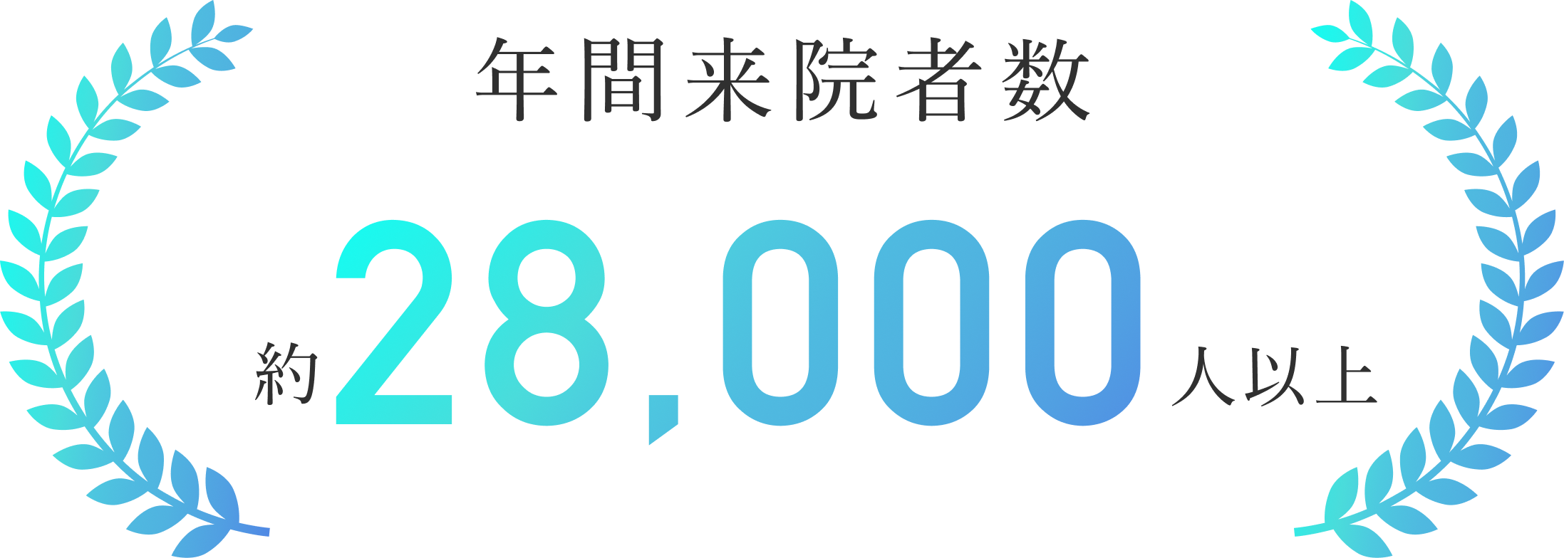年間来院者数 約28,439人以上